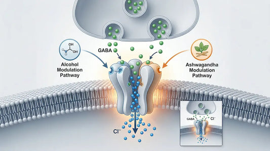 Scientific illustration of GABA receptor activity in a cell membrane, showing chloride ion flow and modulation pathways including ashwagandha effects