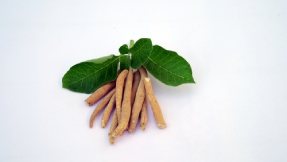 How long does it take for ashwagandha to work?