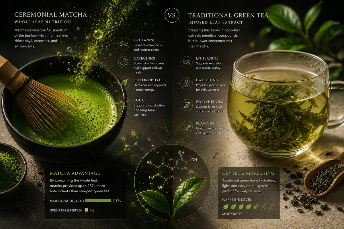 Matcha vs Green Tea: What’s Actually Different and Why It Matters for You
