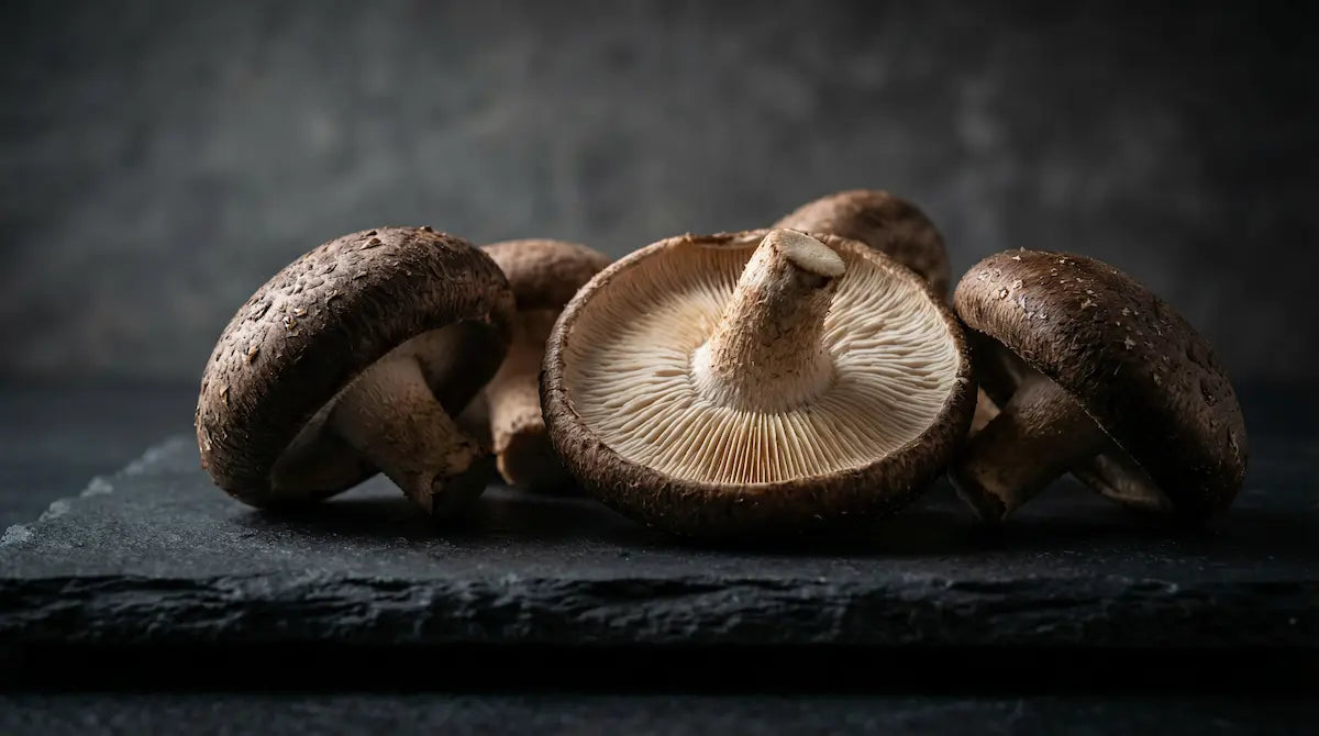 **Alt text:**  Shiitake mushrooms (Lentinula edodes) close-up on dark stone surface showing textured caps and gills, a nutrient-rich functional mushroom known for immune and heart health benefits.