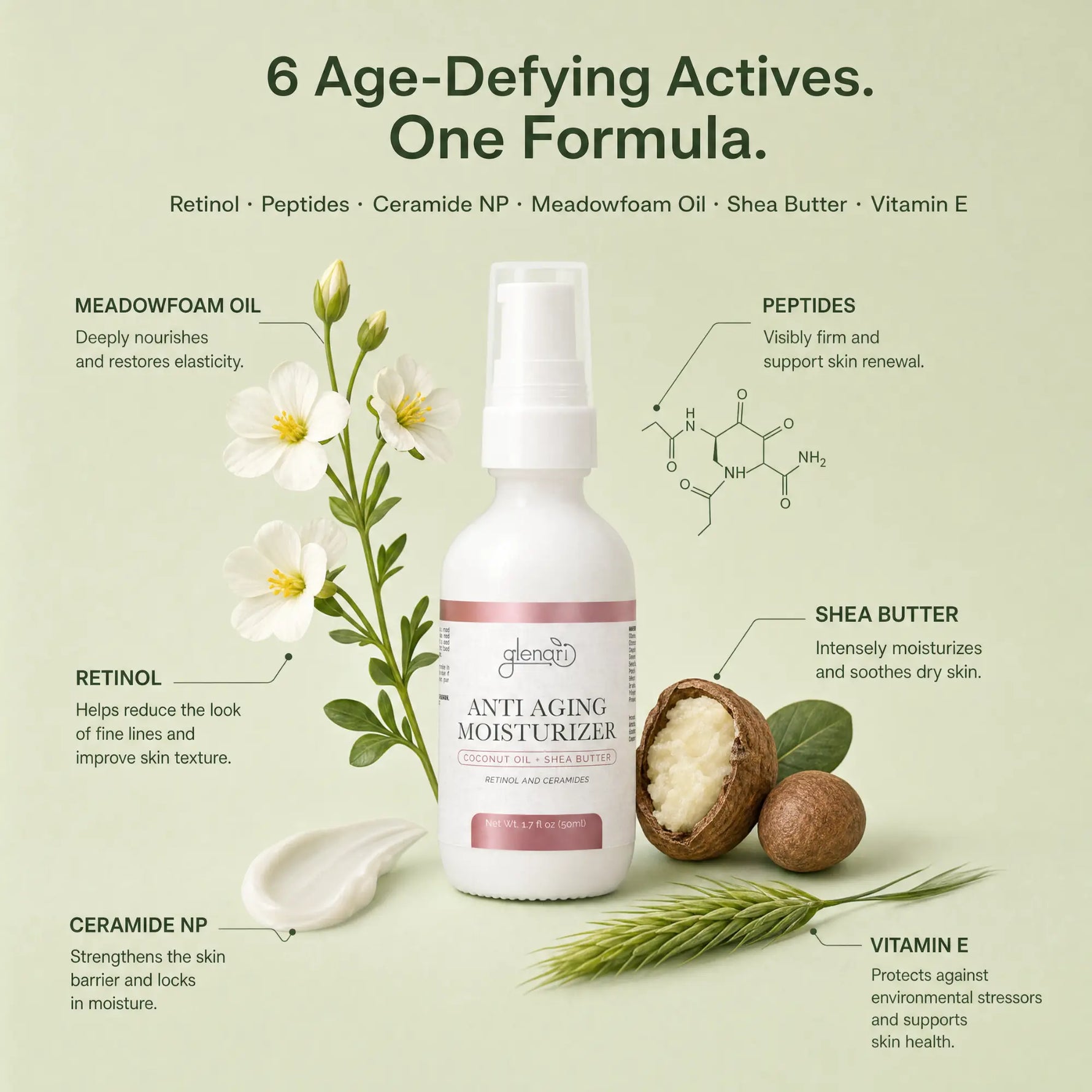 Anti Aging Moisturizer bottle from the brand 'Glenari' centered on a light sage green background, surrounded by ingredient callouts and illustrations of white flowers, shea nuts, wheat, and a spoon of cream.