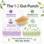 An informational graphic for a gut supplement called 'The 1-2 Gut Punch'. It features two panels: '1 PREBIOTIC' in purple showing polydextrose 50mg, and '2 PROBIOTIC' in green showing 10 Billion CFU B.