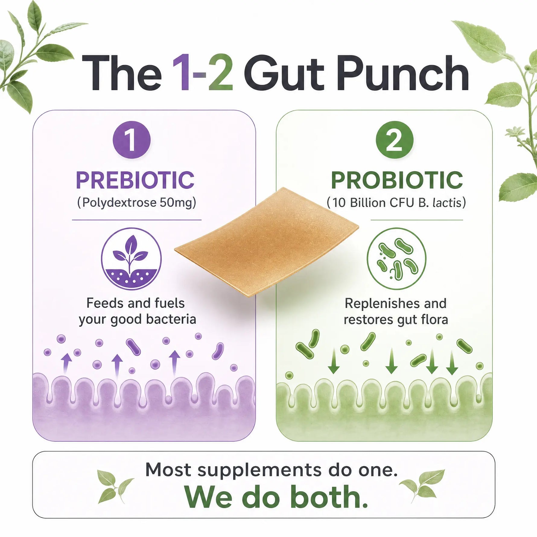 An informational graphic for a gut supplement called 'The 1-2 Gut Punch'. It features two panels: '1 PREBIOTIC' in purple showing polydextrose 50mg, and '2 PROBIOTIC' in green showing 10 Billion CFU B.