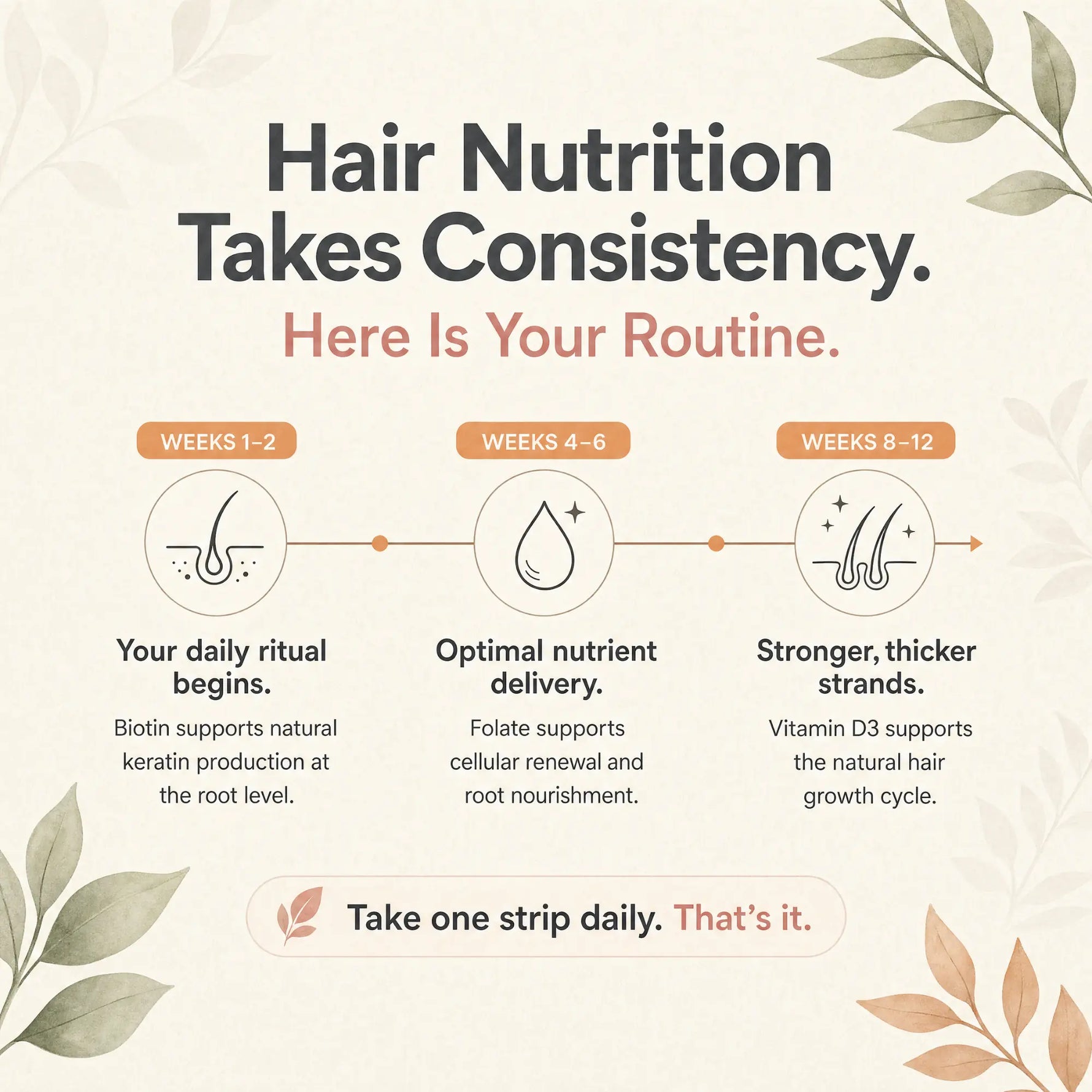 An informational graphic titled 'Hair Nutrition Takes Consistency. Here Is Your Routine.