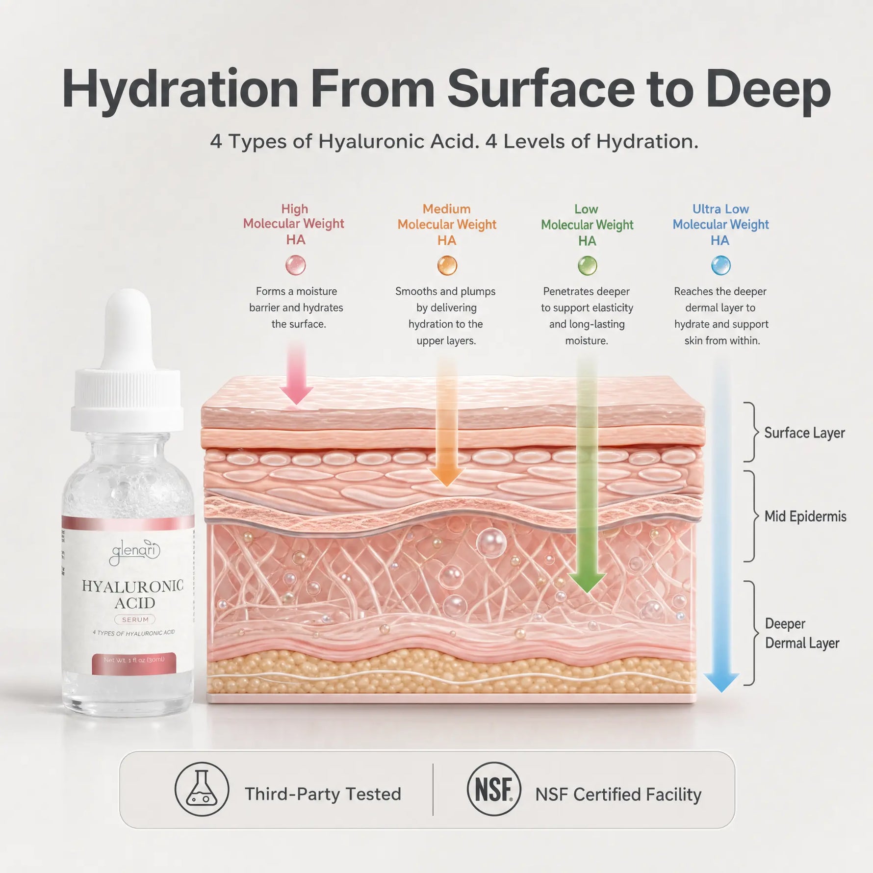 An informational product graphic for a hyaluronic acid skincare bottle. The image includes a bottle labeled 'GLENARI HYALURONIC ACID' on the left, a cross-section diagram of skin layers in the center, and explanatory text about hydration levels and skin layers.