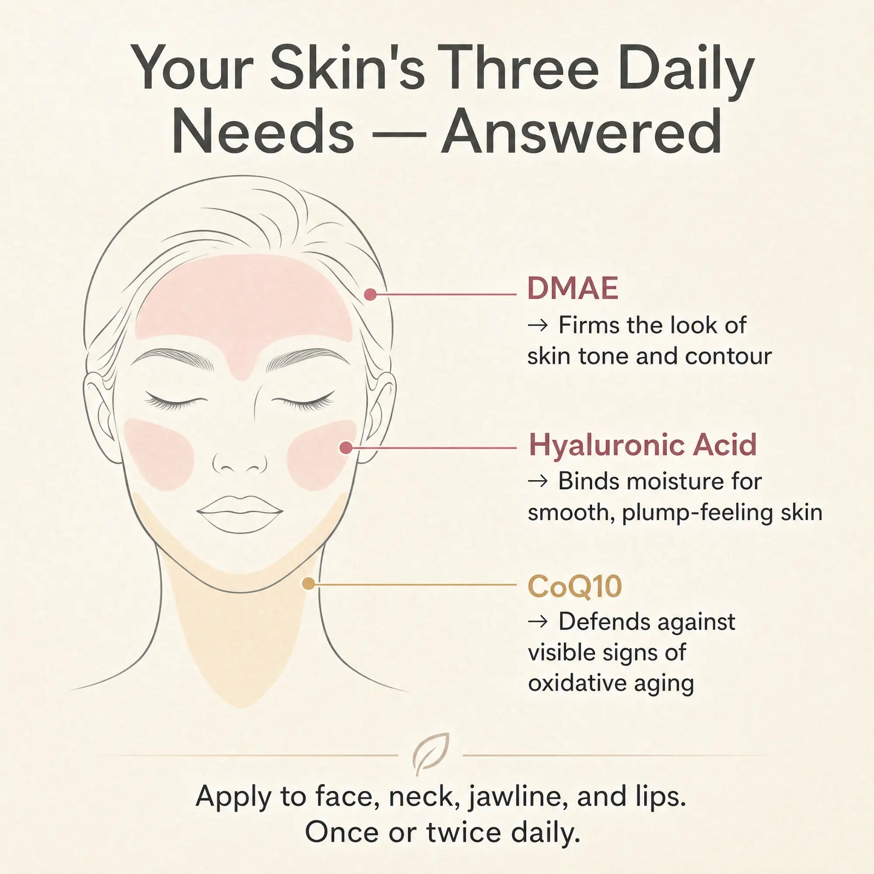 An informational skincare graphic titled 'Your Skin's Three Daily Needs — Answered' showing a simple line drawing of a woman's face with highlighted areas and callouts for DMAE, Hyaluronic Acid, and CoQ10, plus application instructions at the bottom.