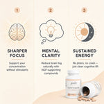 Three-panel promotional graphic for Glenari Lion's Mane supplement, showing icons for sharper focus, mental clarity, and sustained energy above a bottle and spilled capsules on a beige background.
