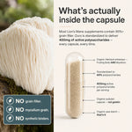 An informational product graphic for Glenari Lion's Mane supplement. The left side shows a close-up photo of a white lion's mane mushroom cluster on moss, with a dark teal badge reading 'NO grain filler.