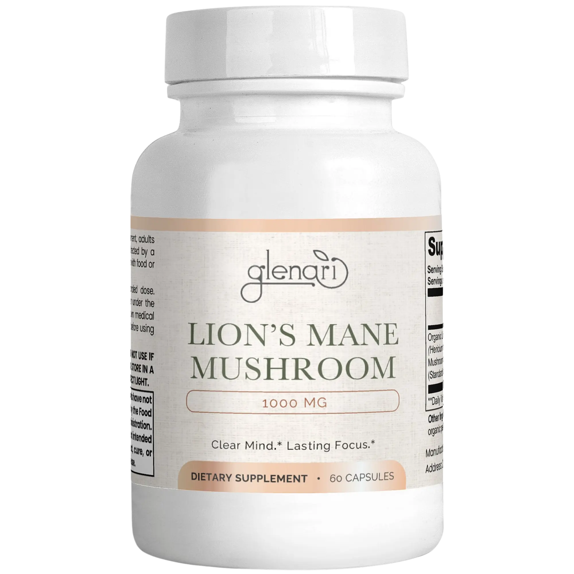 Lion’s Mane Mushroom