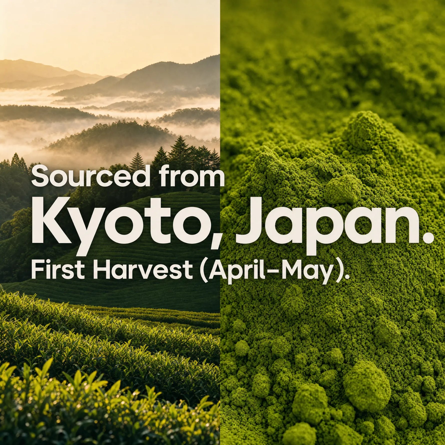 Split promotional graphic for a Kyoto, Japan tea product. The left half shows a misty mountain landscape and tea fields at sunrise, with the text 'Sourced from Kyoto, Japan.