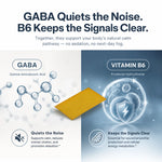 An infographic split into two panels: the left is light gray with a GABA molecule diagram and the text 'GABA Quiets the Noise. B6 Keeps the Signals Clear.