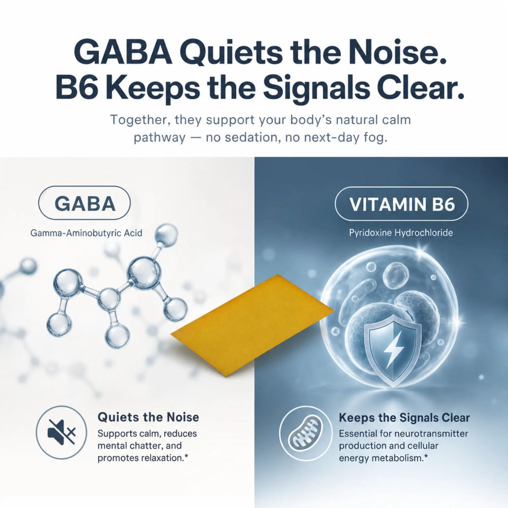 An infographic split into two panels: the left is light gray with a GABA molecule diagram and the text 'GABA Quiets the Noise. B6 Keeps the Signals Clear.