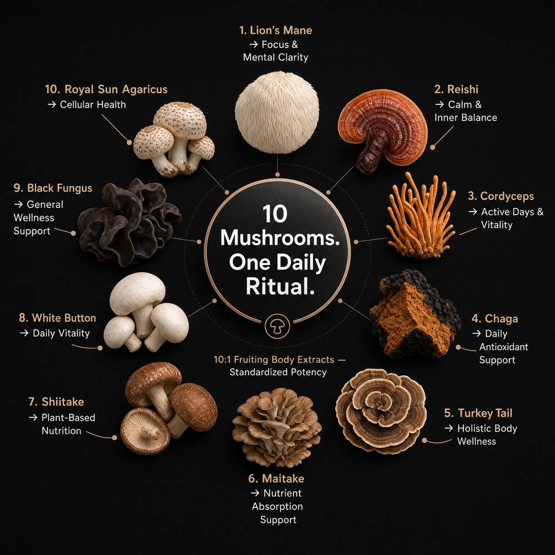 An infographic titled '10 Mushrooms. One Daily Ritual.