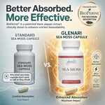 Promotional comparison graphic for sea moss capsules, showing a labeled bottle of Standard Sea Moss Capsule on the left and a glowing labeled bottle of Glenari Sea Moss Capsule on the right. Text highlights better absorption and enhanced bioavailability with a BioPerine badge and feature icons.