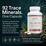 A bottle of Glenari Sea Moss dietary supplement with capsules, set against a dark textured background with promotional text about trace minerals and marine support ingredients.